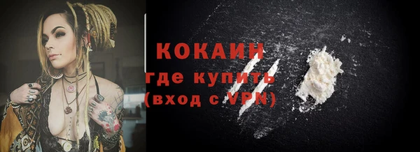 индика Белокуриха