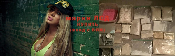 spice Богданович