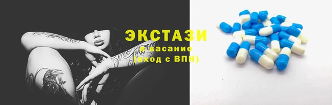 jwh Богородицк