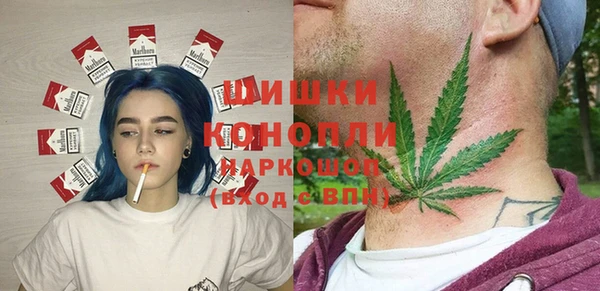 Альфа ПВП Богородск