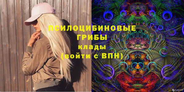 Альфа ПВП Богородск
