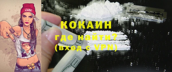 spice Богданович