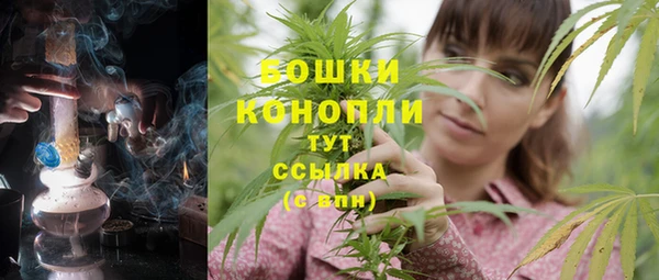 сатива Кропоткин