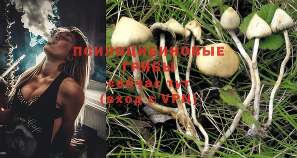 spice Богданович